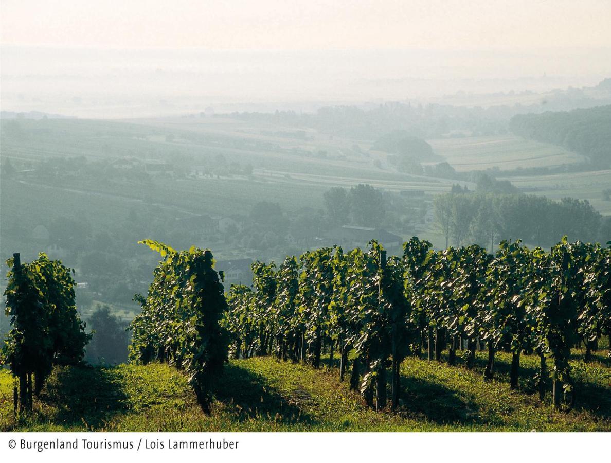 Beerenhof Wiesen マッテルスブルク エクステリア 写真